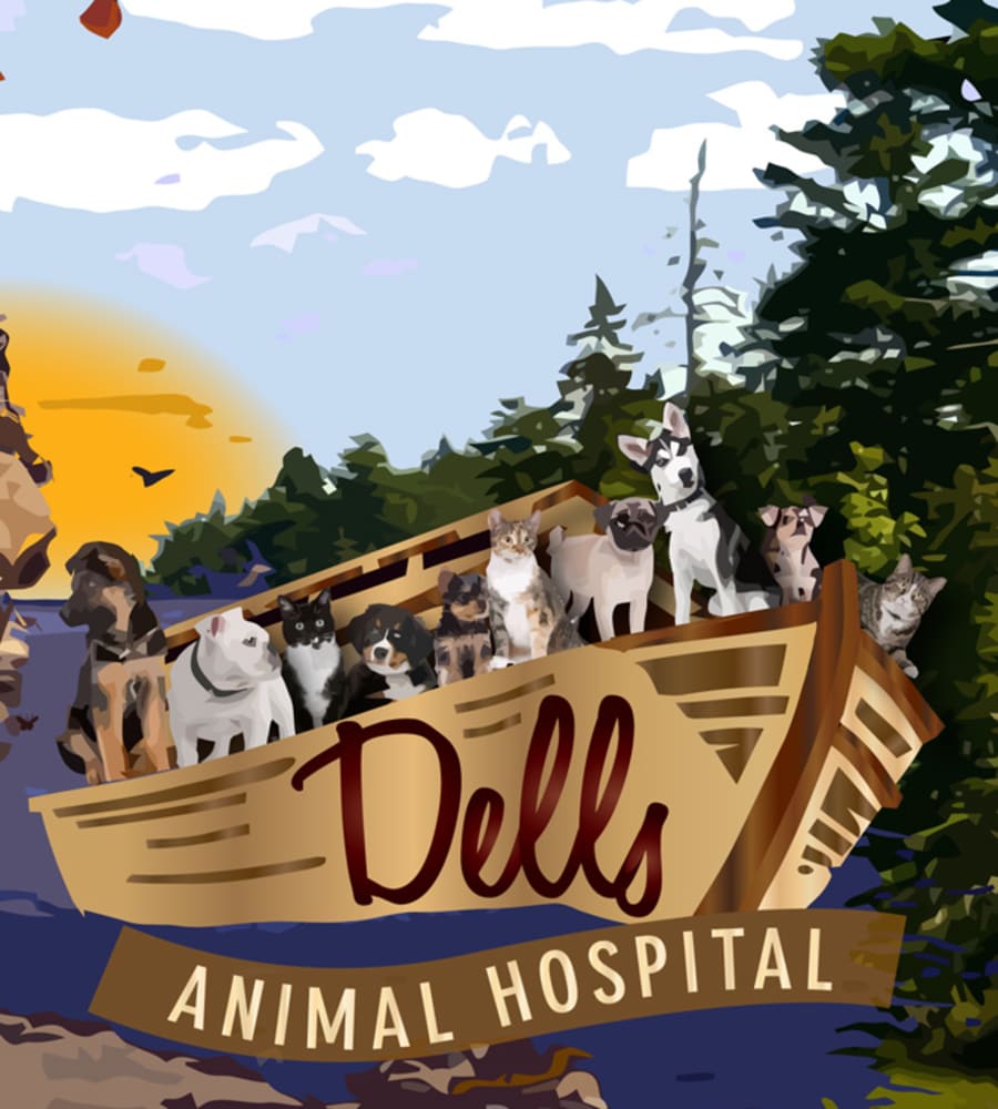 Dells Animal Hospital in Wisconsin Dells