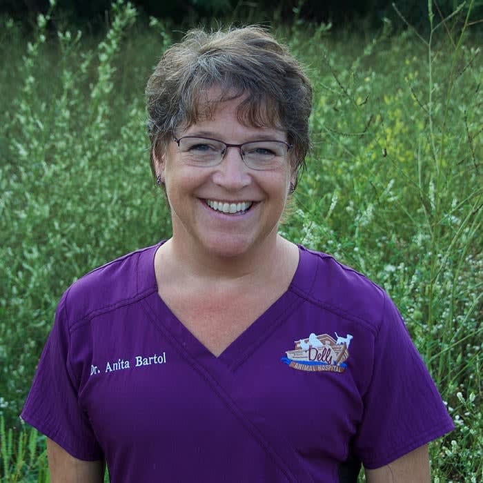 Dr. Anita Bartol Meyer, Wisconsin Dells Veterinarian