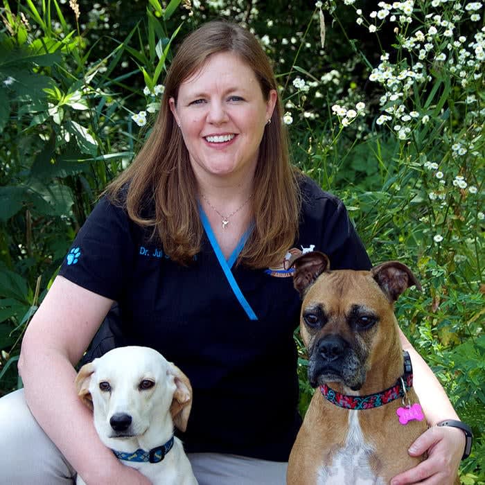 Dr. Julie Schodron, Wisconsin Dells Veterinarian